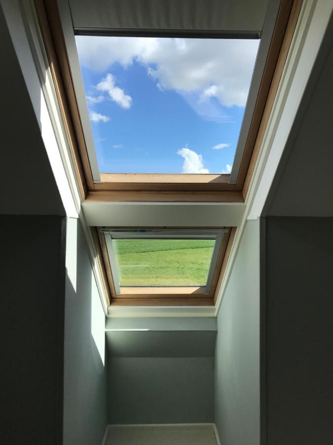 Willow Barn Luxury Countryside Accommodation In Bury St Edmunds Bury St. Edmunds Exteriör bild